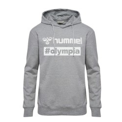 hmlGO 2.0 LOGO HOODIE GREY...